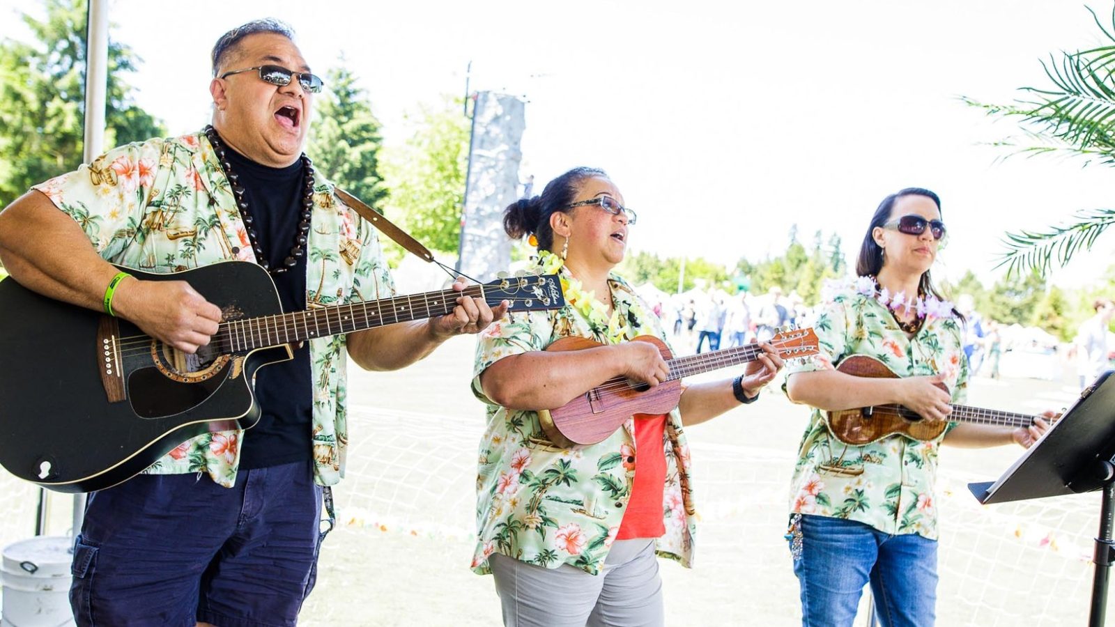 Live Music at Tropical Company Picnic