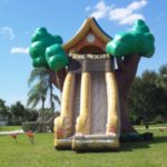 20′ Tree House Slide