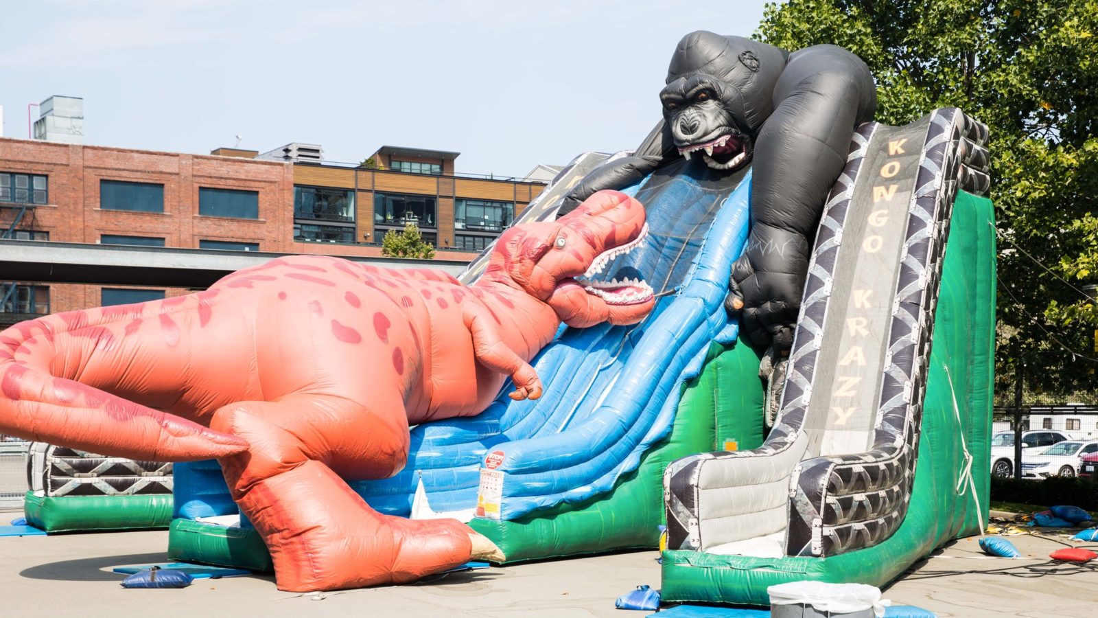 30′ Kongo Krazy Triple Lane Slide