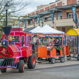 Circus Train