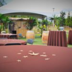 Table Linens