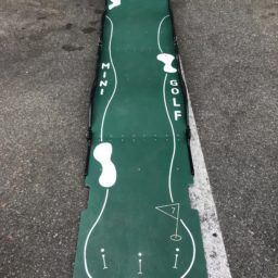 Portable Mini Golf (9 Hole)