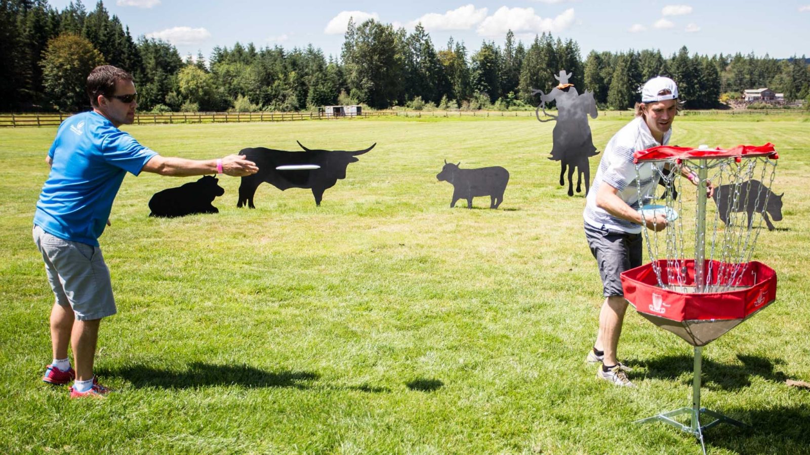 Frisbee Golf