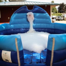 Foam Party