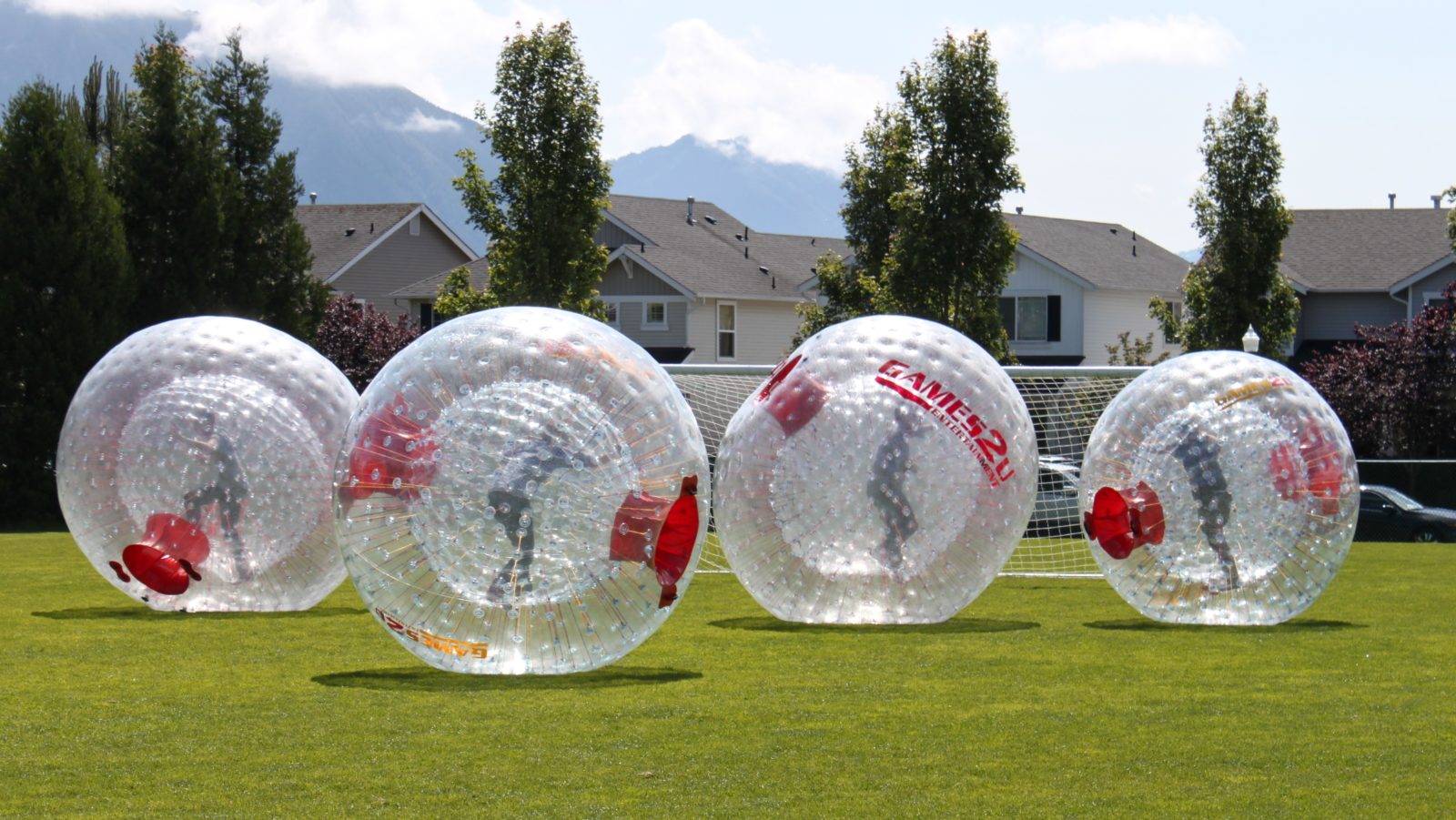 the zorb ball