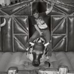 Mechanical Bull Rentals