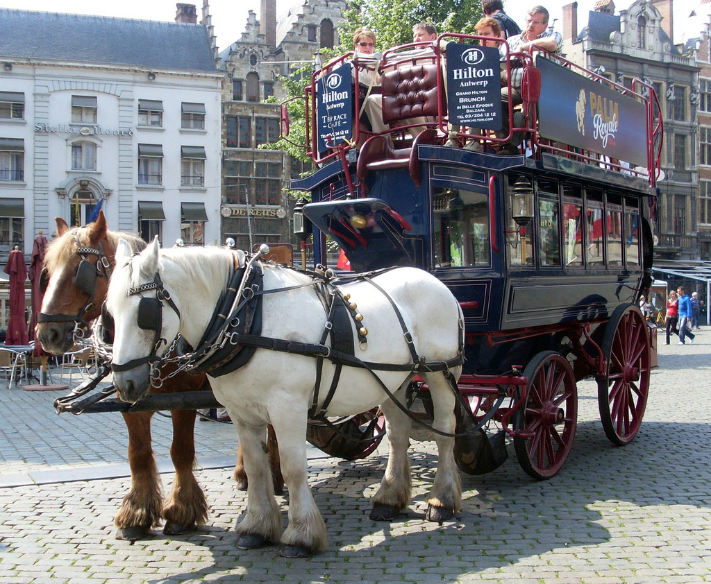 horse drawn carriage hotel shuttle
