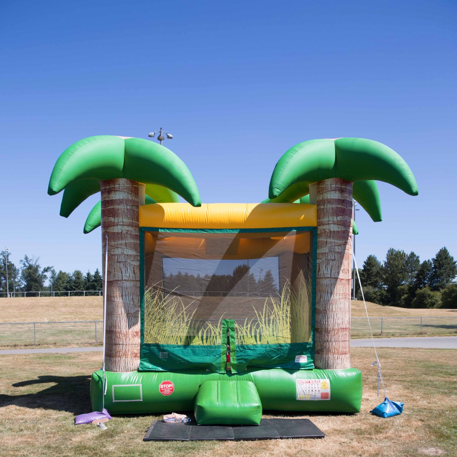 Palm Tree Bouncer