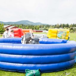 Mechanical Bull