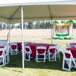 Folding Chairs