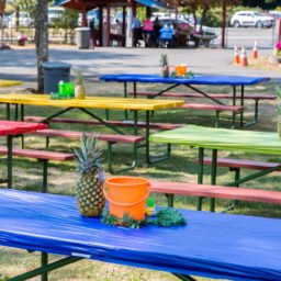 Disposable Table Covers