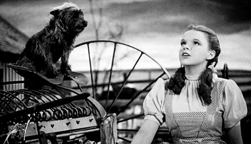 Dorothy singing Over the Rainbow with Toto in The Wizard of Oz