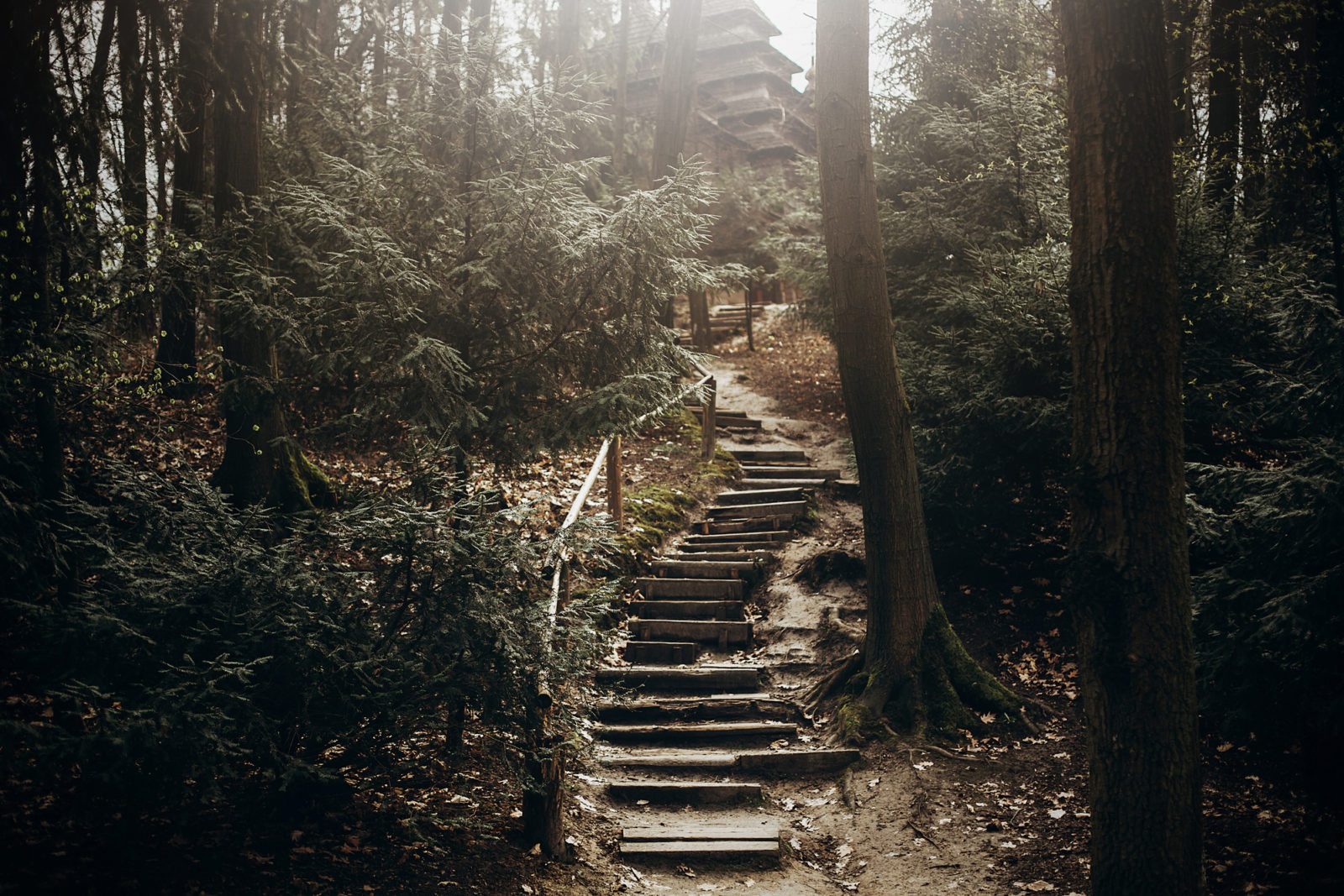 Mystical Forest Stairs 
