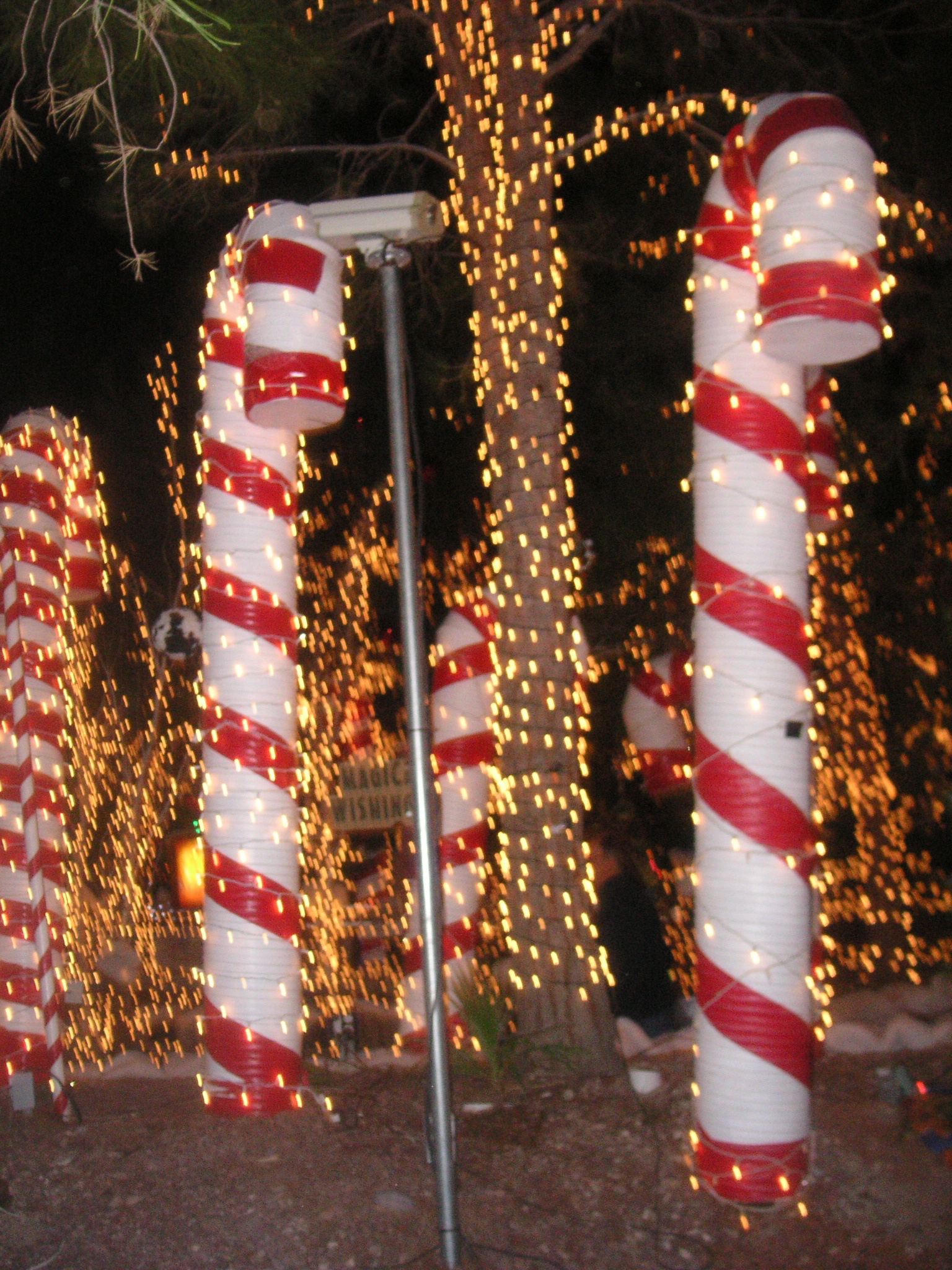 candy cane forest