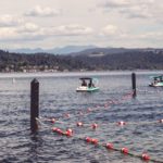 Paddle Boats