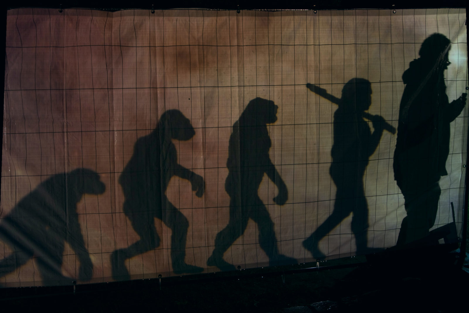 "The March of Progress" human evolution shadow art