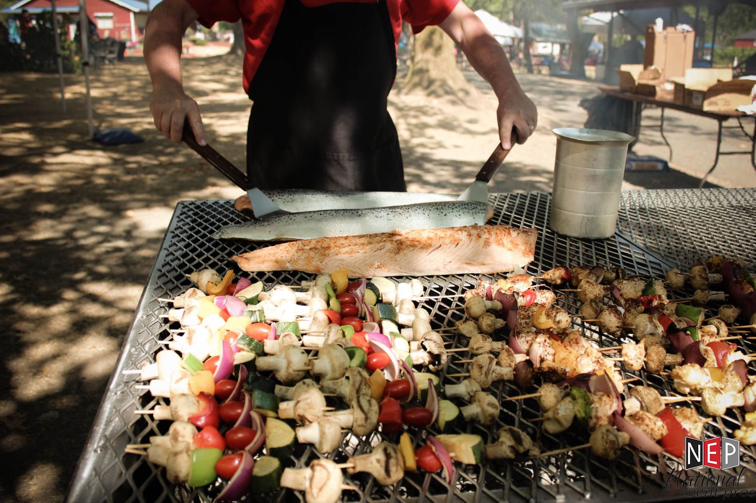 Vasa Park grill
