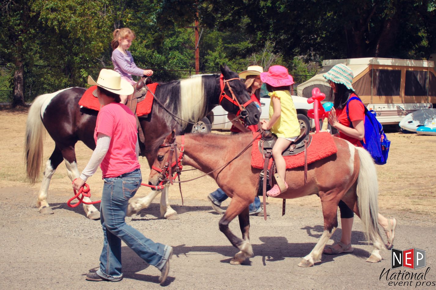 Vasa Park horses