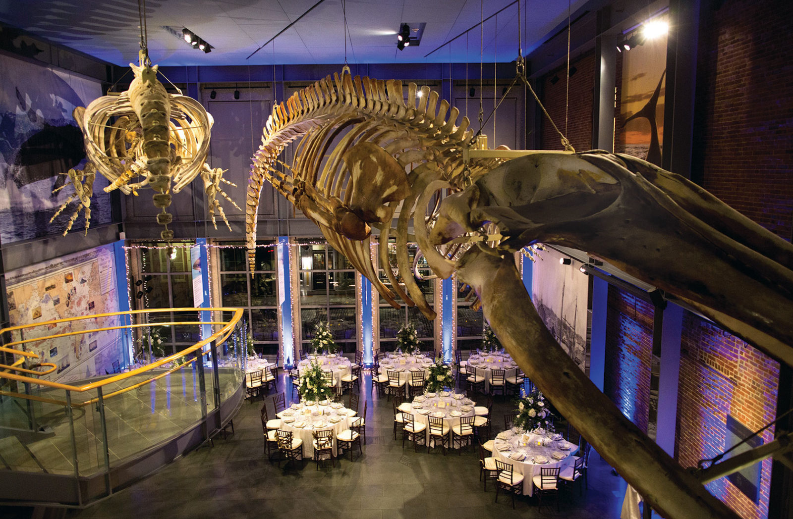 natural history museum as a private event venue
