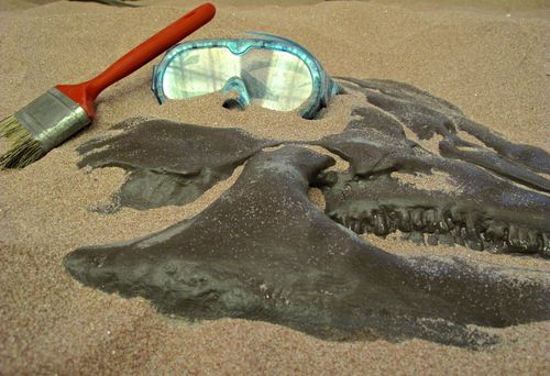 paleontologist toolkit