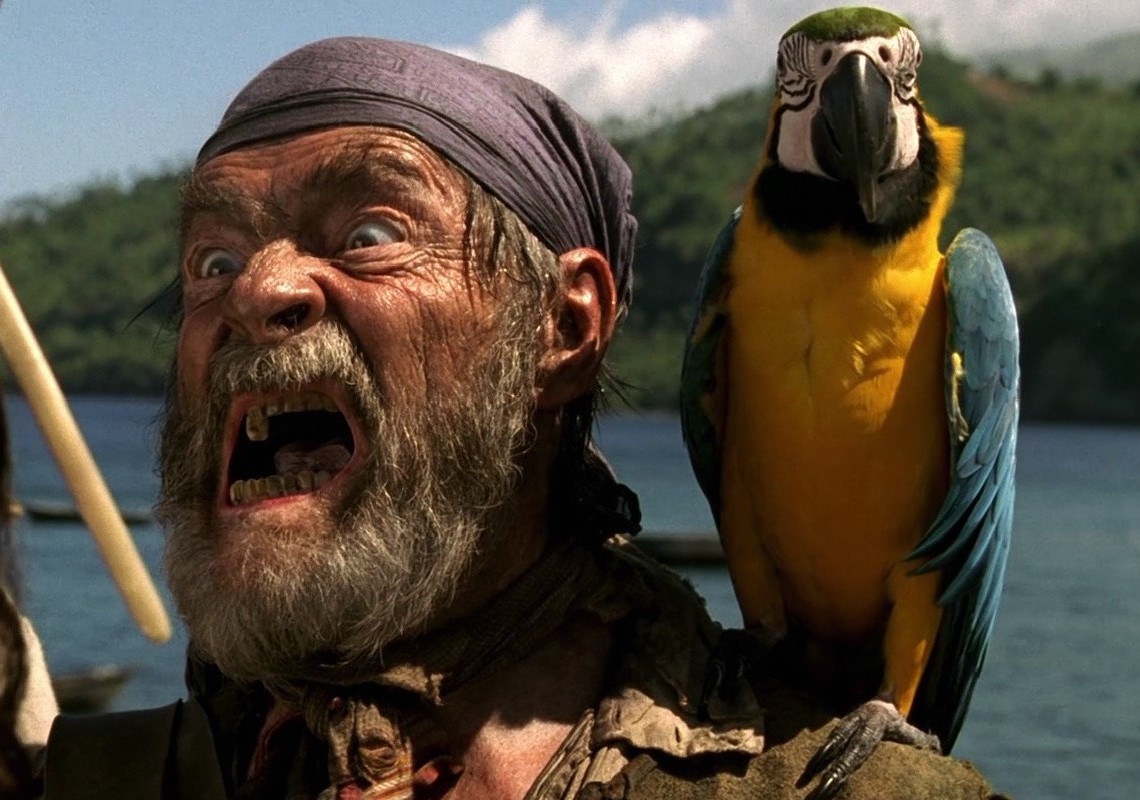 pirate with parrot