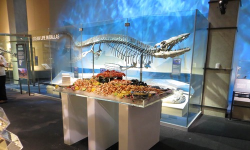 private event catering at a natural history museum