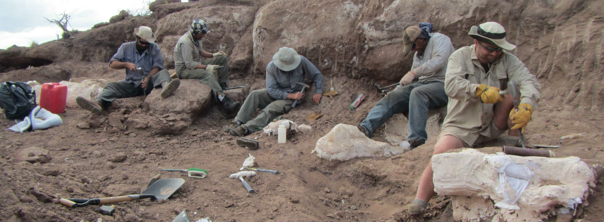 paleontologists excavating fossils
