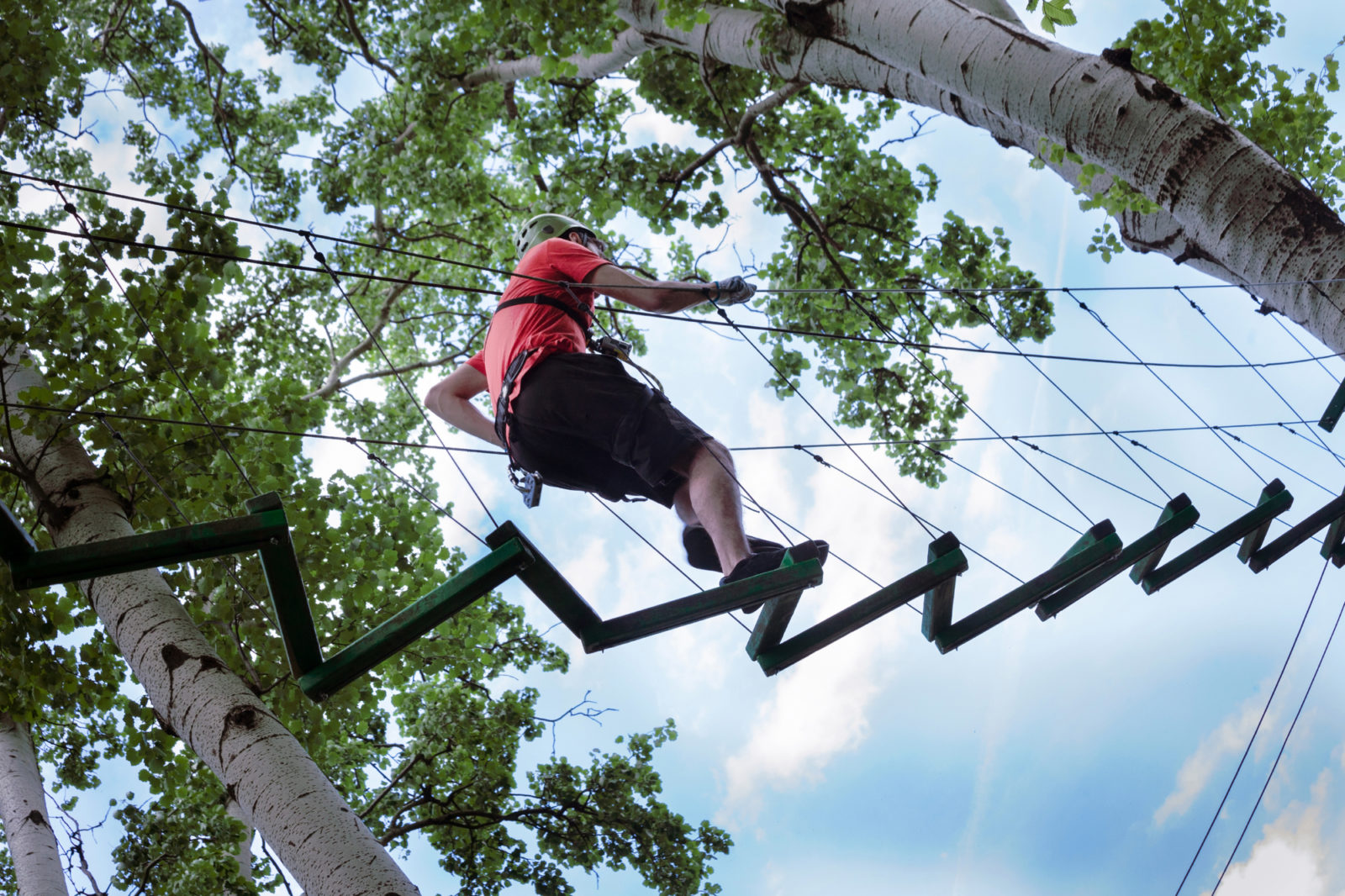 Tree-Top Course theme for events