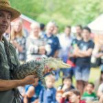 Reptile Zoo