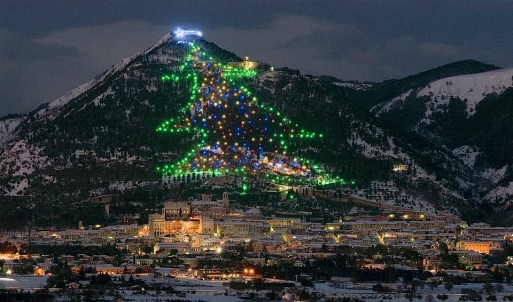 Monte Ingino Italy Christmas Tree