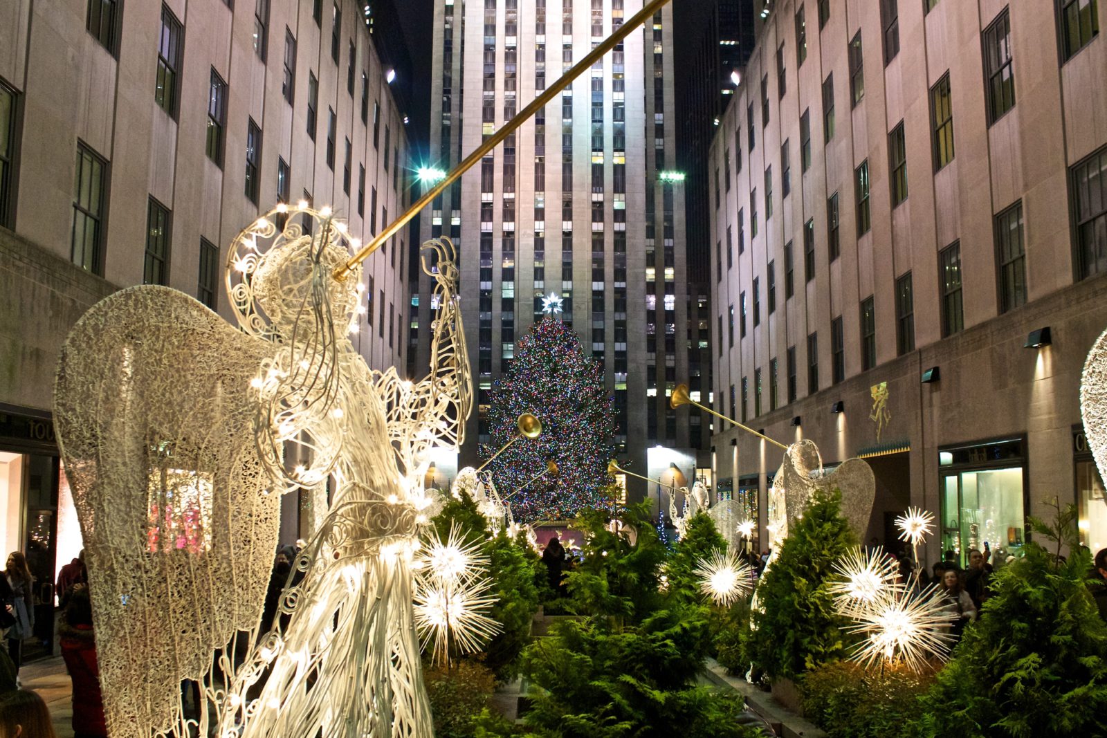 New York City Christmas Tree