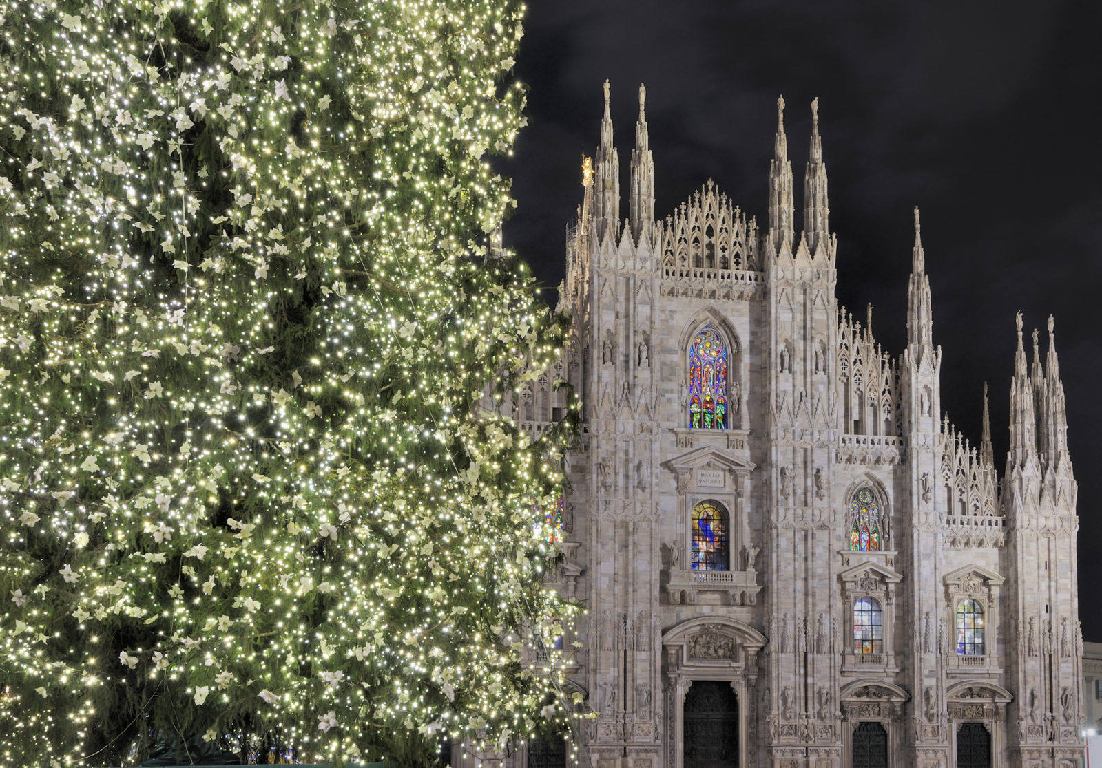 Christmas Tree in Milan
