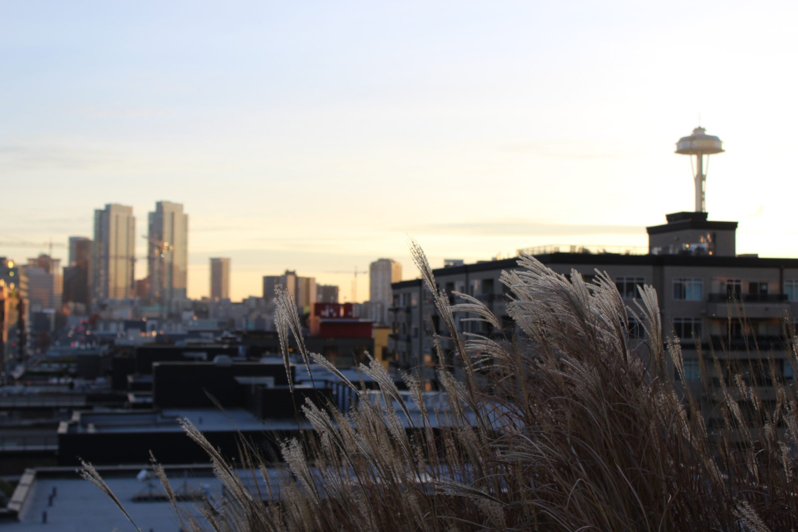 Seattle Rooftop with Space Needle 