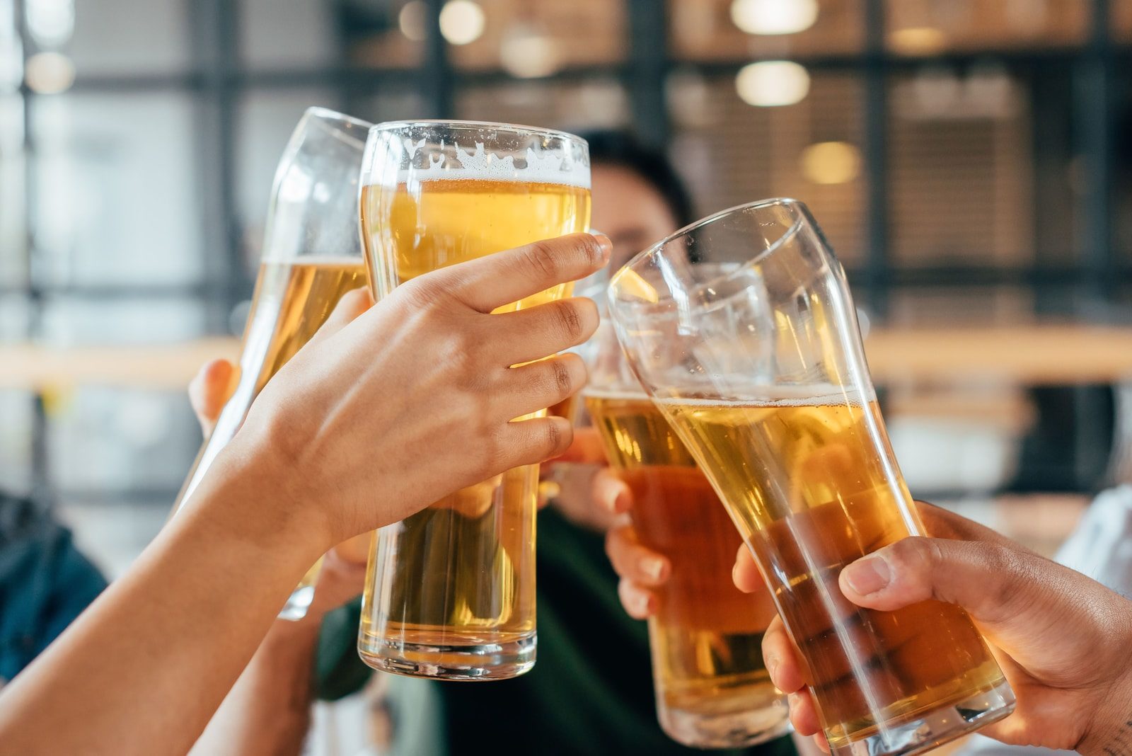 beers and terrarium building