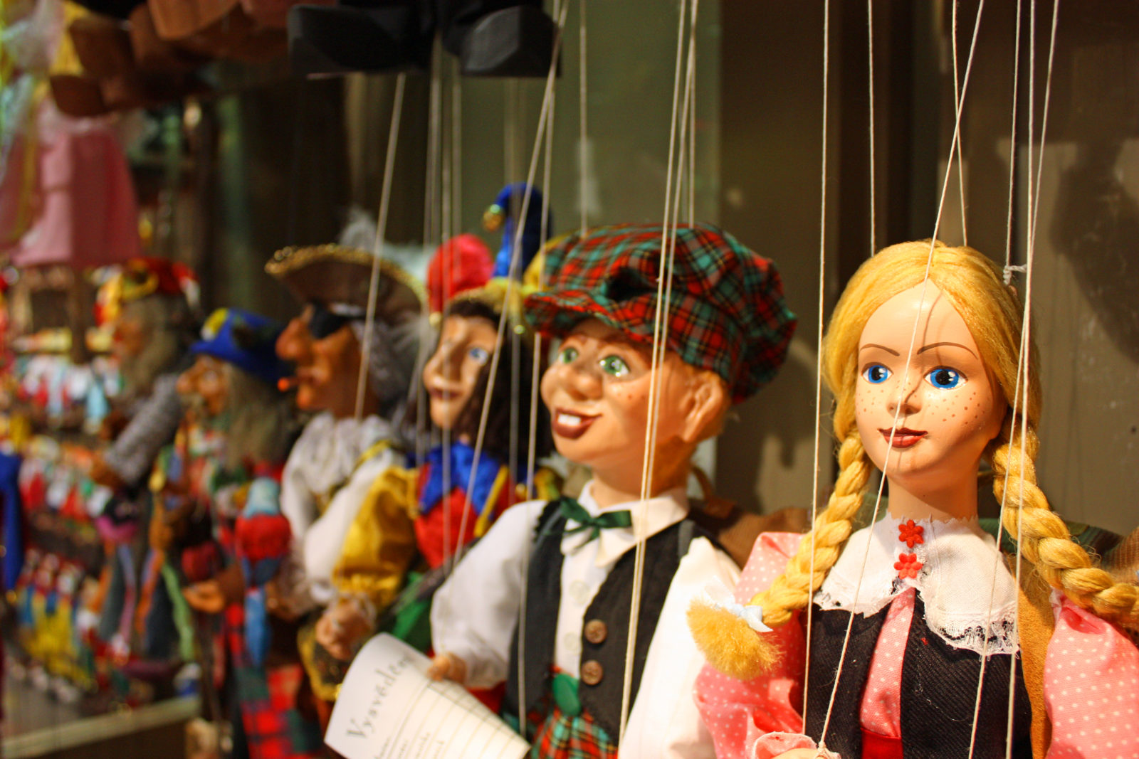 Professional Puppet Shows