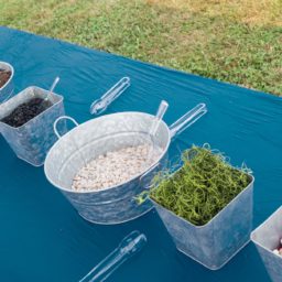 terrarium building station