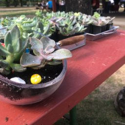 terrarium building experience
