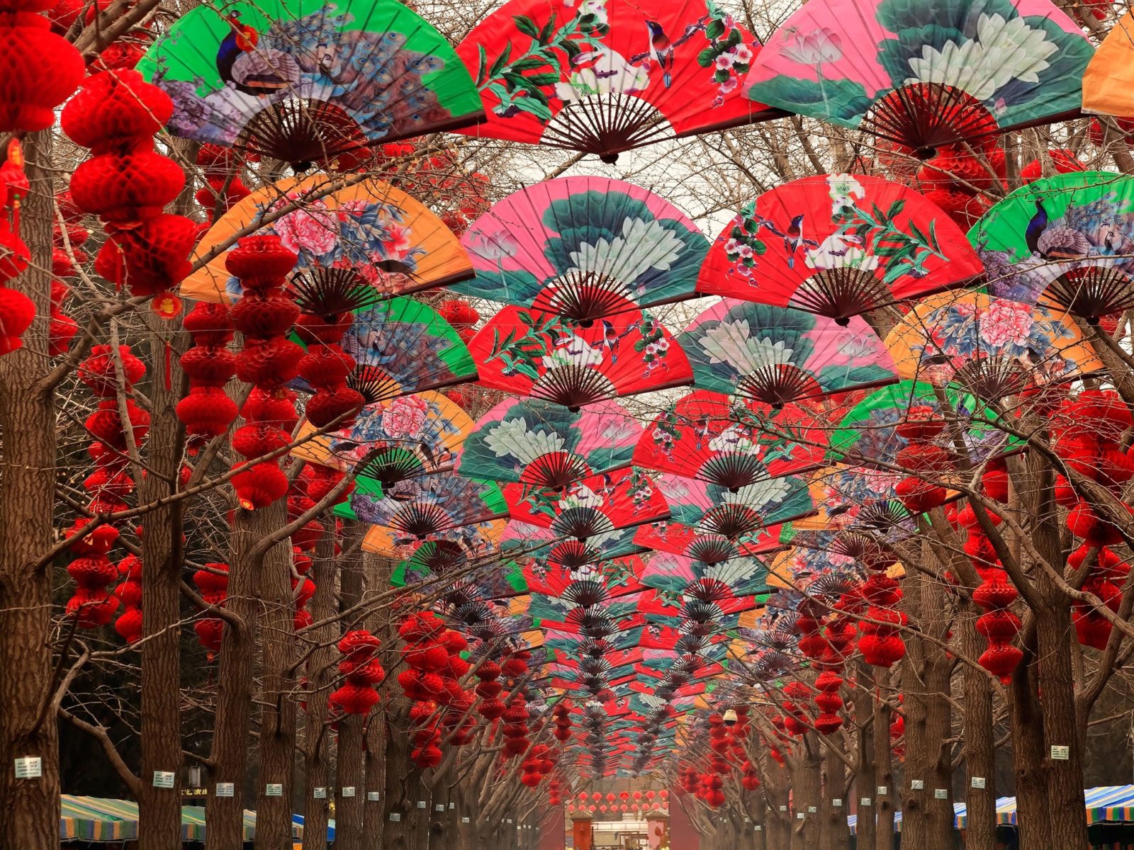 Chinese Fan Art Display