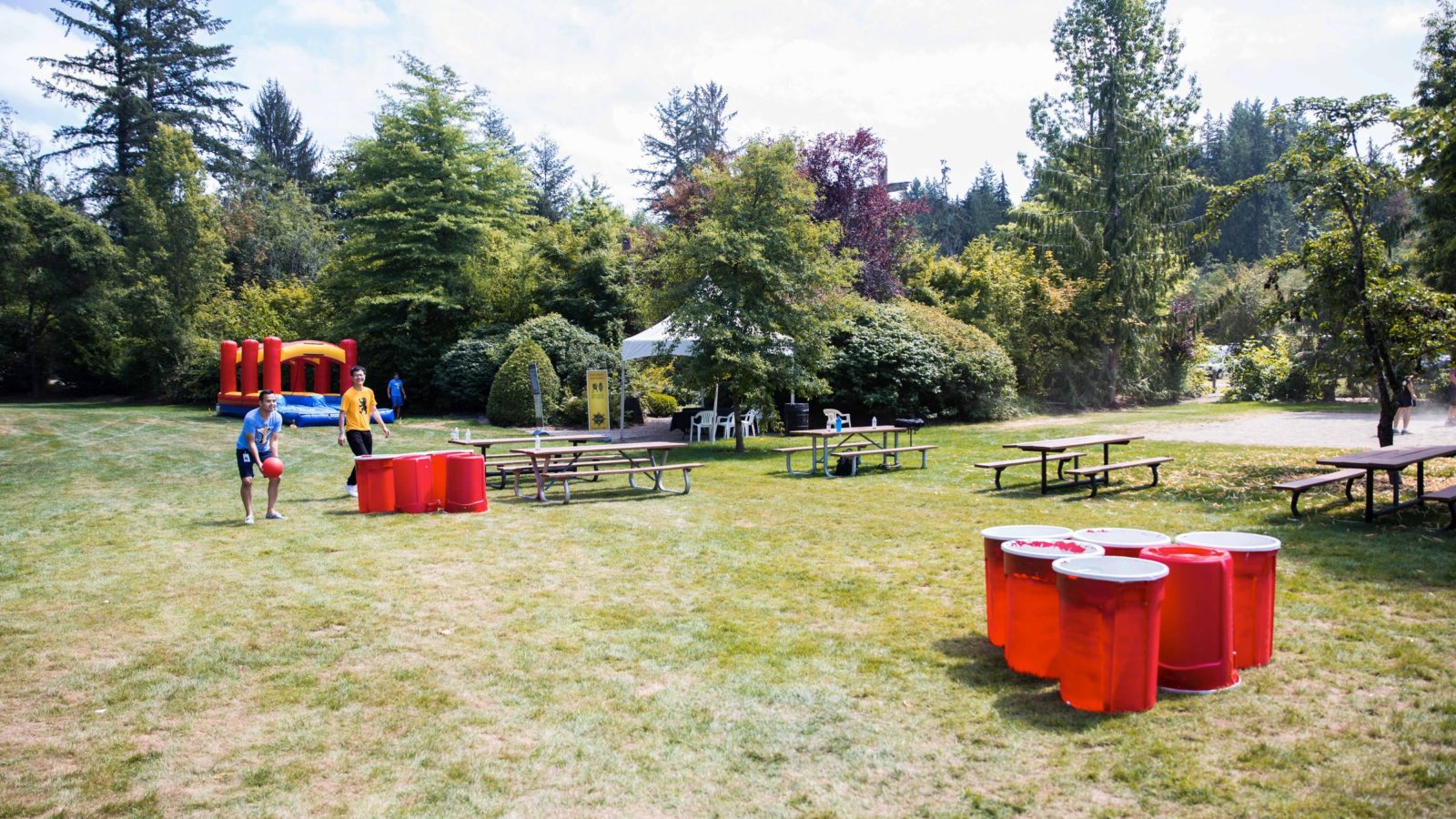 Giant Beer Pong