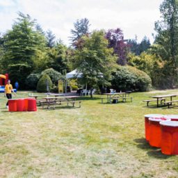 Giant Beer Pong