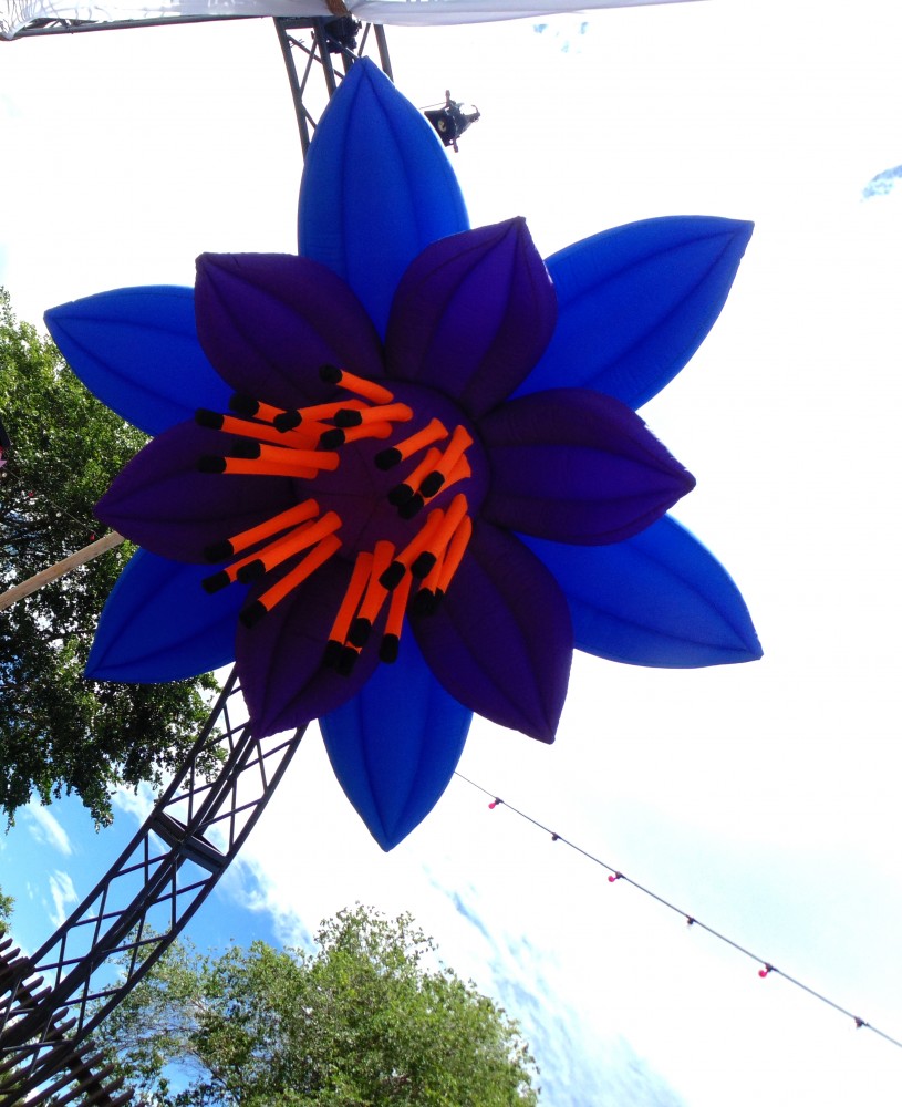 blue purple flower