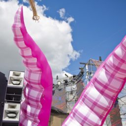 osum pink tenticles