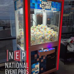 Arcade Claw Machine
