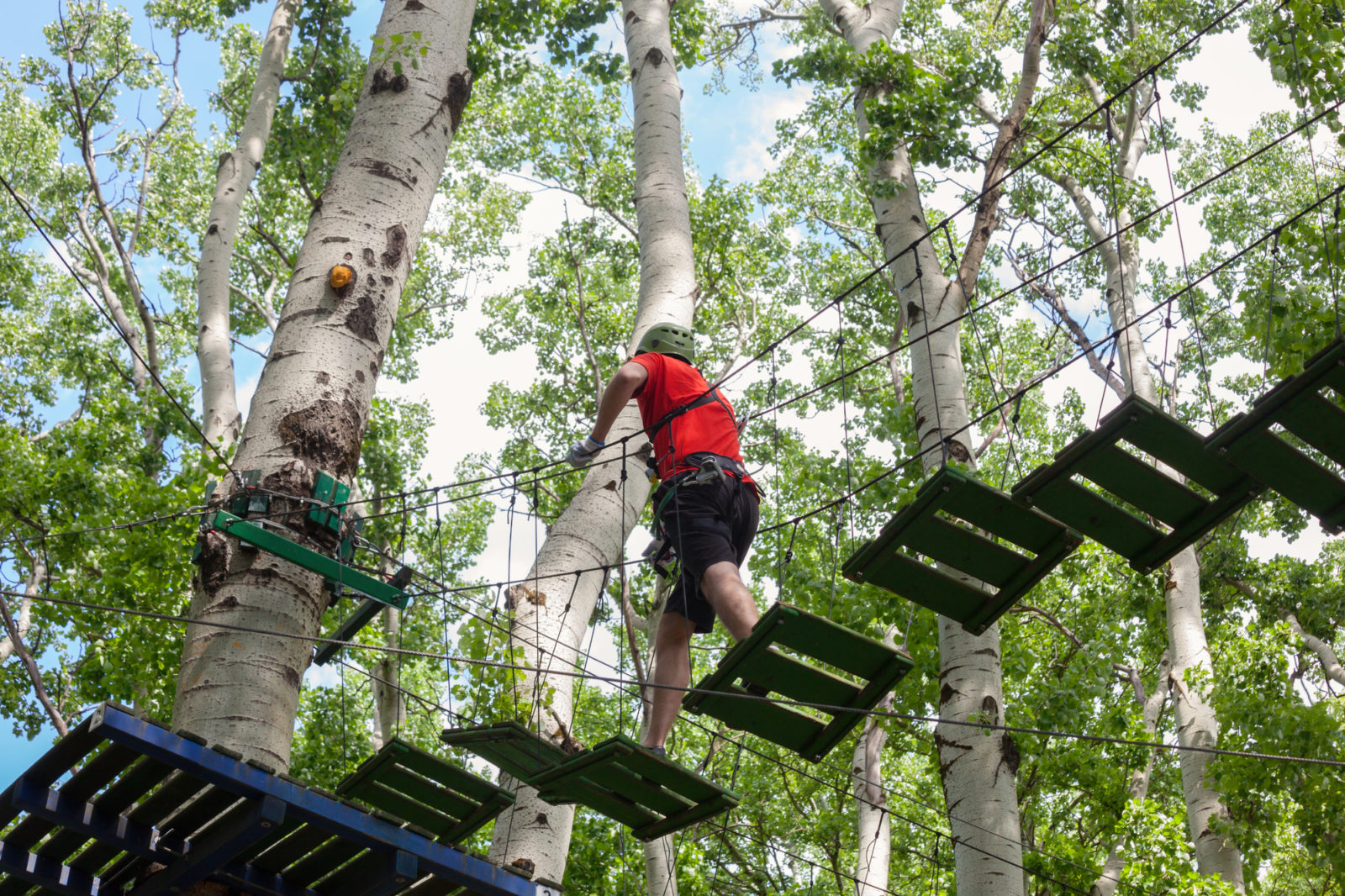 Treetop Courses By The Numbers