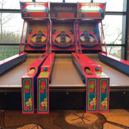 ice ball skee ball rental