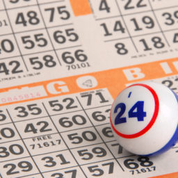 Bingo Experience for Events