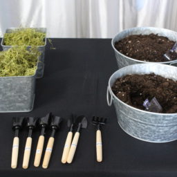 terrarium building experience