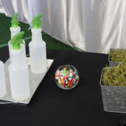 terrarium building experience
