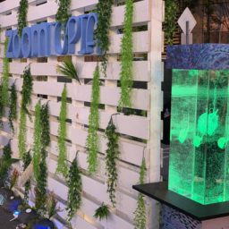 Custom Photo Booth