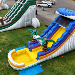 18-ft Wild Thing Water Slide with Pool